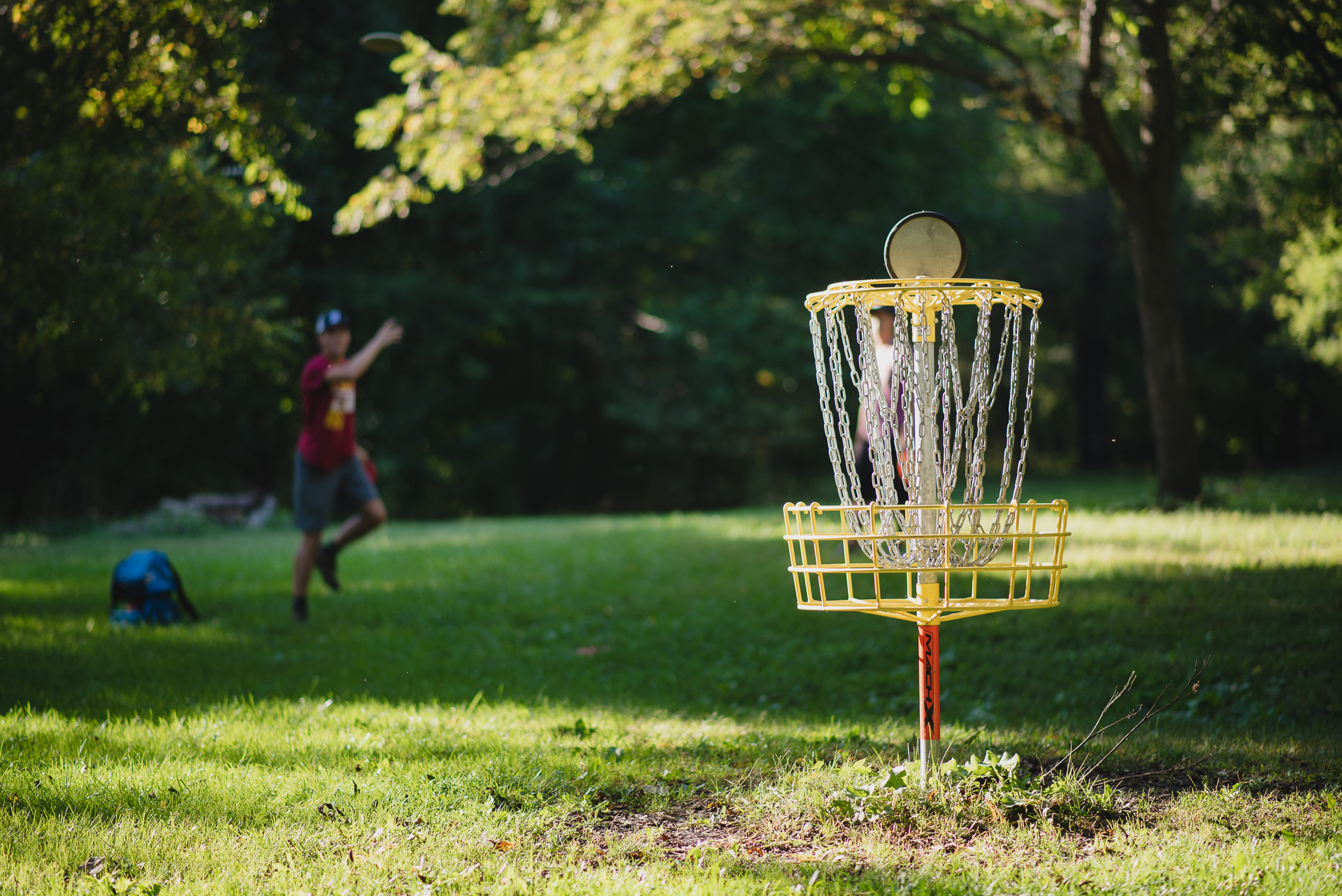 an image of a person playing disc golf